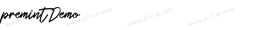 premint Demo字体转换